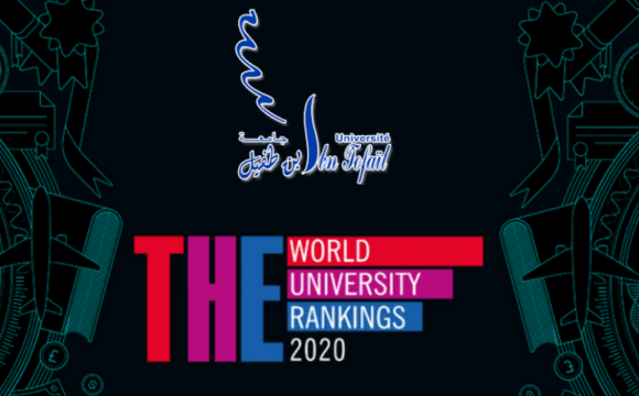 Classement International Times Higher Education (THE) « Impact Ranking 2020 »