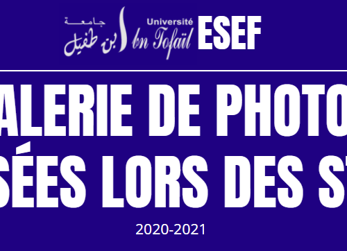 Galerie de photos réalisées lors des stages