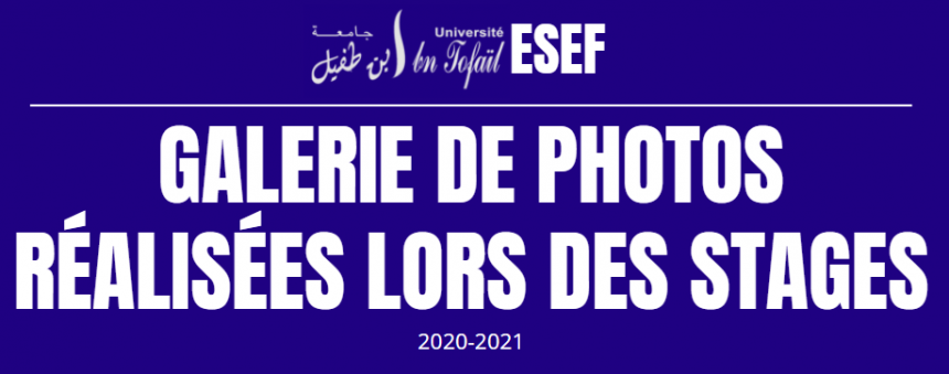 Galerie de photos réalisées lors des stages