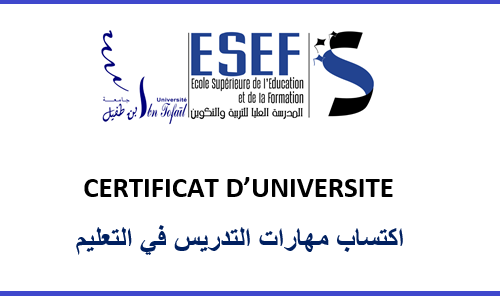 التسجيل بالشهادة الجامعية : اكتساب مهارات التدريس في التعليم (الإبتدائي والثانوي)